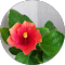 Water Softener System in Chennai Water Purifier in Chennai
