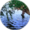 Water Softener System in Chennai Water Purifier in Chennai